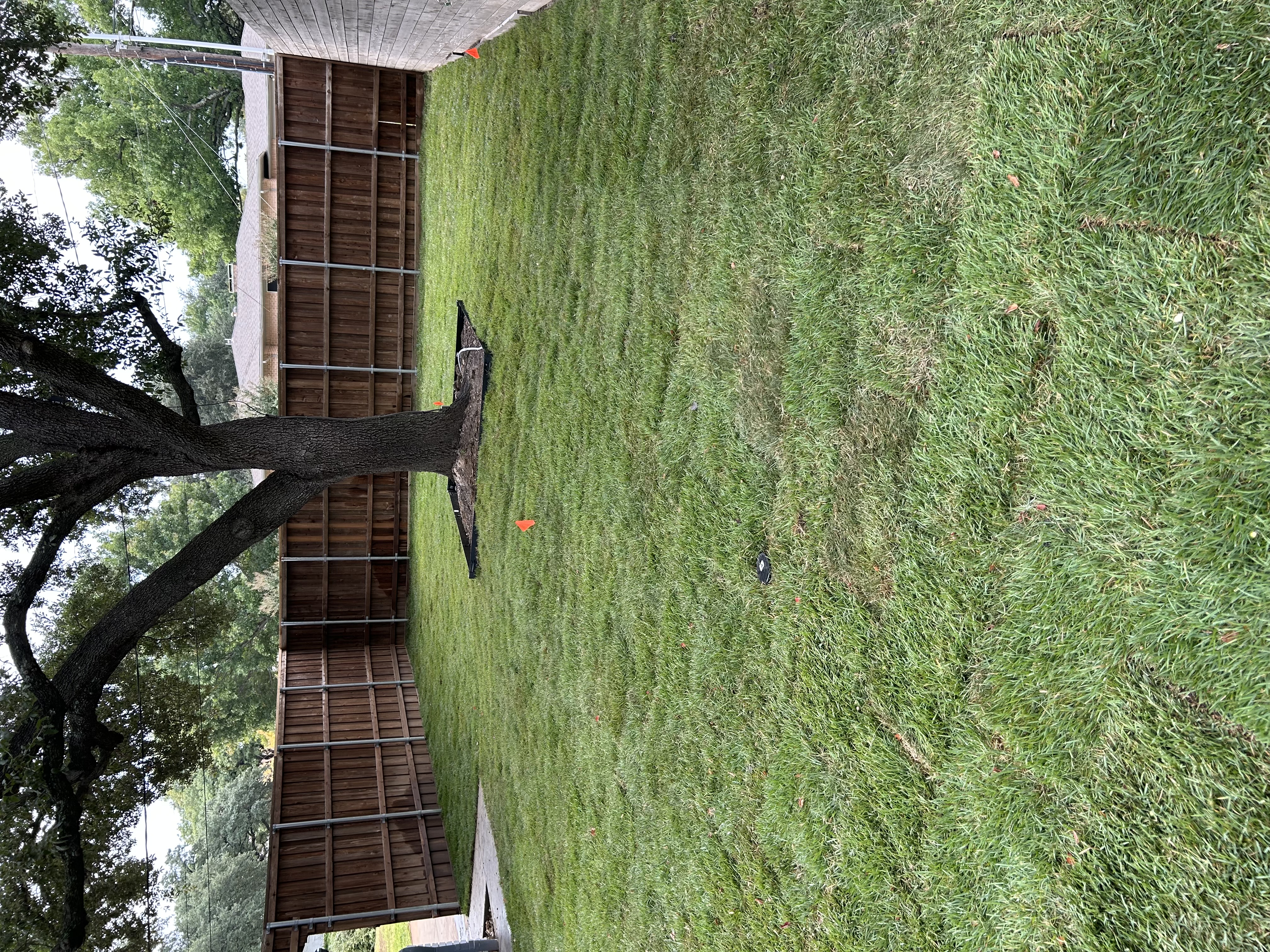 Pet-friendly artificial turf University Park DFW